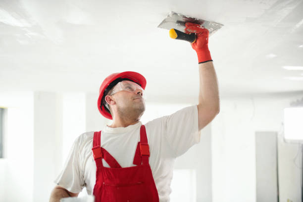 Best Dehumidification Services  in Wahpeton, ND